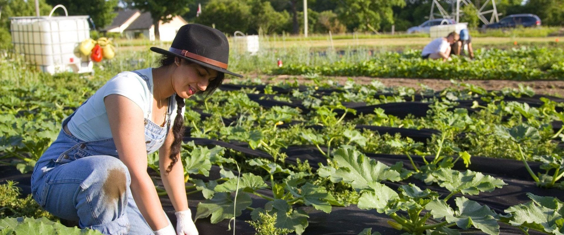 Urban Farming in London: A Comprehensive Guide to a Healthier and More Sustainable Future