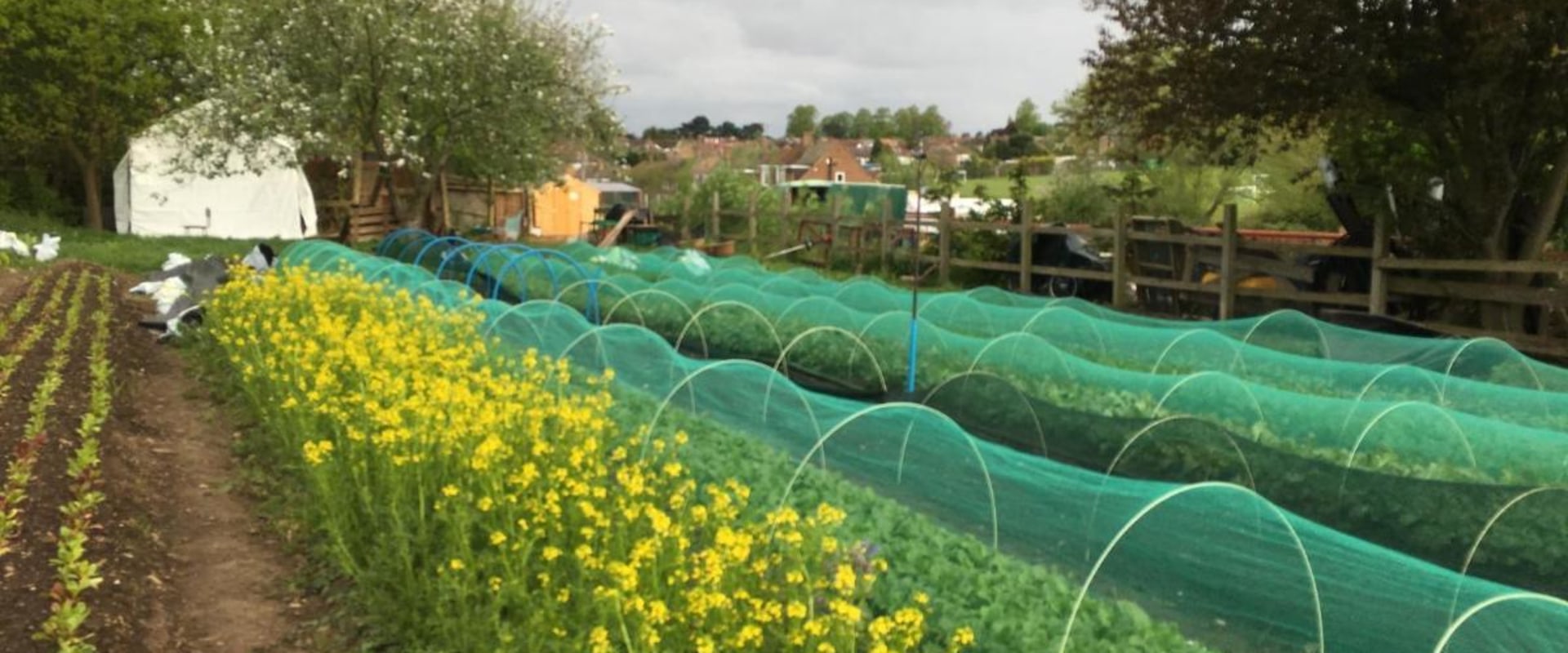 Urban Agriculture in London: A Comprehensive Plan for a Healthier and More Sustainable City