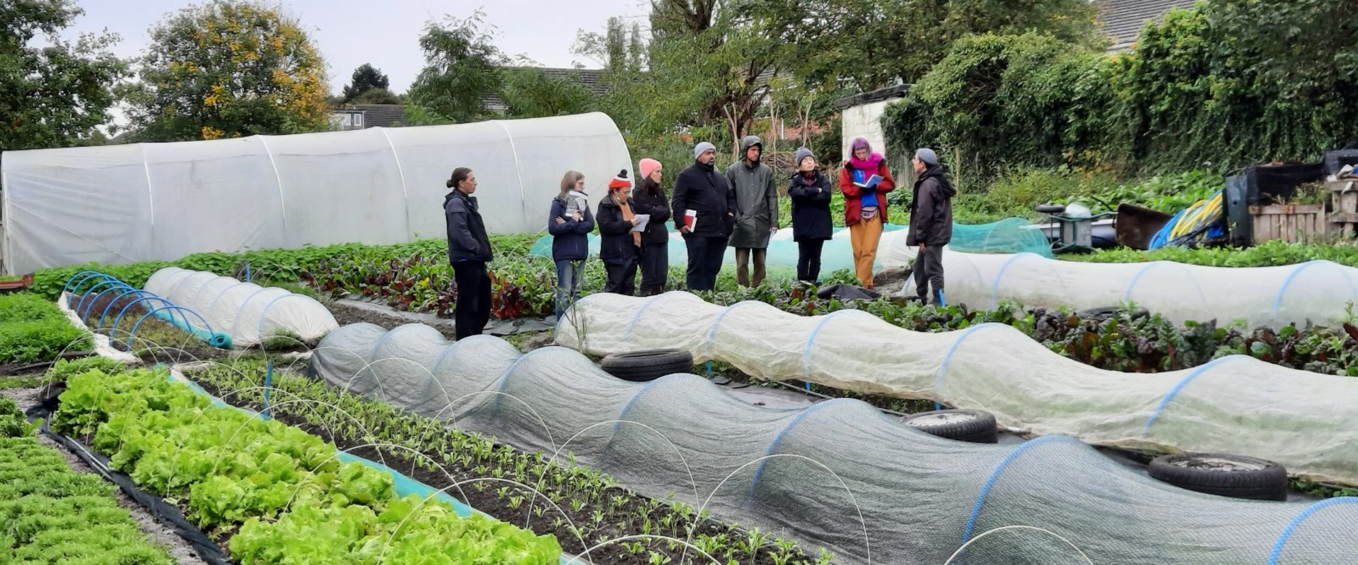 The Decline of Urban Farming in London: An Expert's Perspective