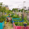 Engaging Local Communities in London: How Urban Farmers Can Make a Difference