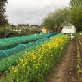 Urban Farming in London: Challenges and Opportunities