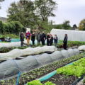 Unlocking the Potential of Urban Farms in London: Strategies to Increase Access to Capital and Resources