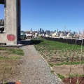 Urban Farming in London: Policies and Initiatives to Support a Sustainable Future