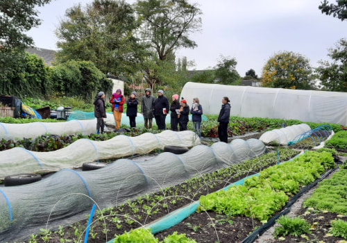 Unlocking the Potential of Urban Farms in London: Strategies to Increase Access to Capital and Resources