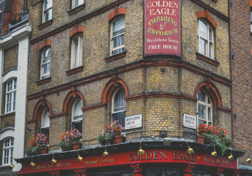 Growing Green In The Concrete Jungle: The Benefits Of Urban Farming In London