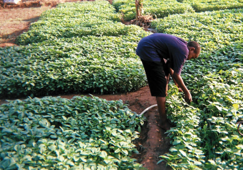 Equitable Sharing of Benefits of Urban Farming