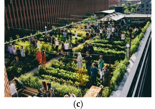 Urban Agriculture: Ensuring Existing Agricultural Land is Not Displaced