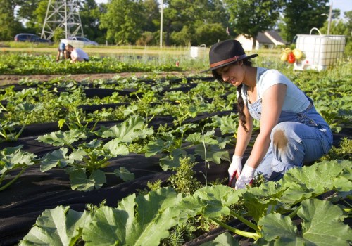 Funding Opportunities for Urban Farmers in London: A Comprehensive Guide