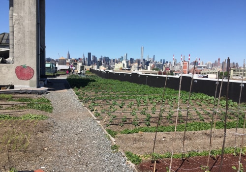 Urban Farming in London: Policies and Initiatives to Support a Sustainable Future