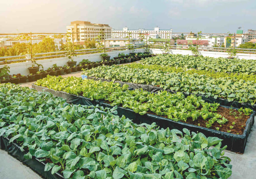 The Multiple Benefits of Urban Farms: Beyond Food Production