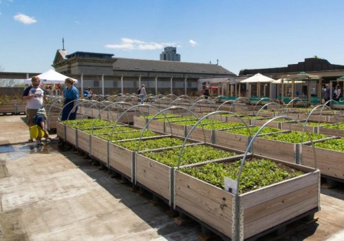 Urban Farming: A Sustainable Solution to Reduce Waste in London